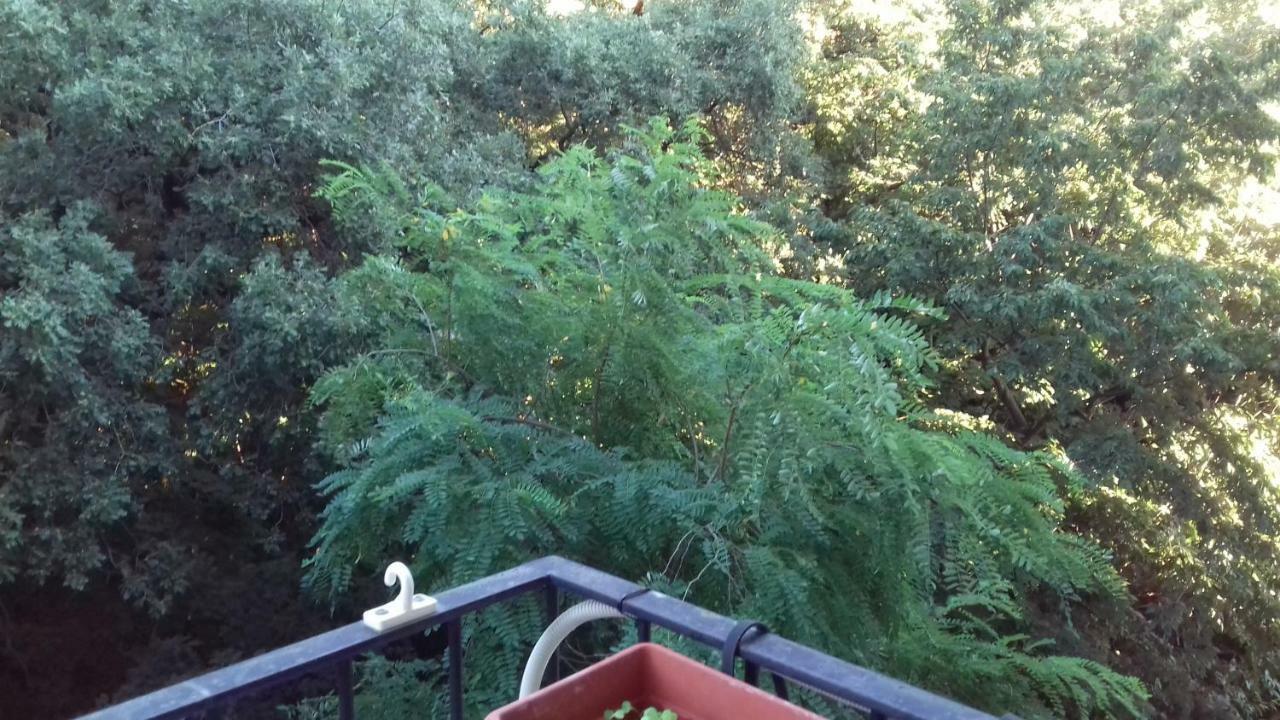 的里雅斯特Casarcobaleno公寓 外观 照片
